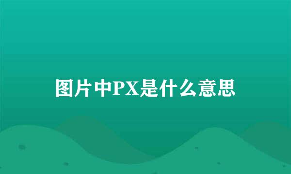 图片中PX是什么意思