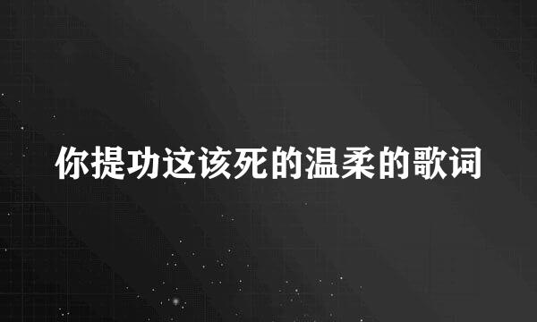你提功这该死的温柔的歌词