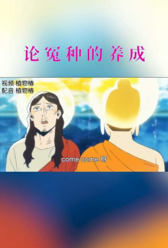 “怨种”和“冤种”有什么区别？