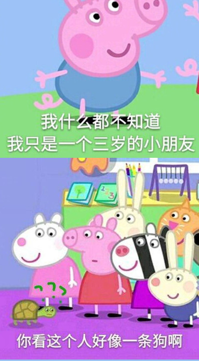 社会人是什么意思？