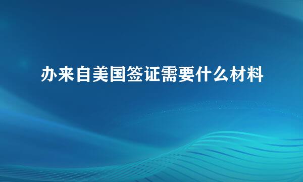 办来自美国签证需要什么材料