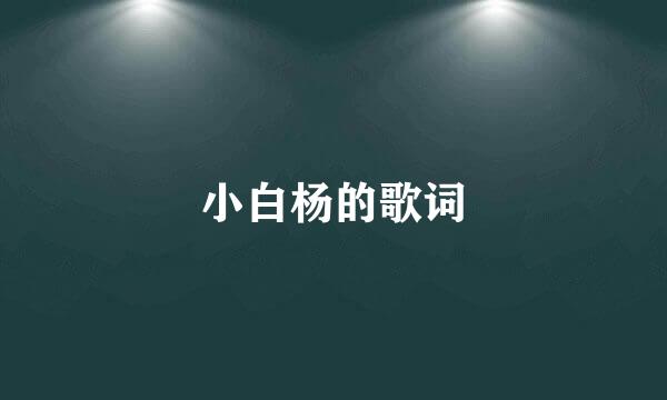 小白杨的歌词