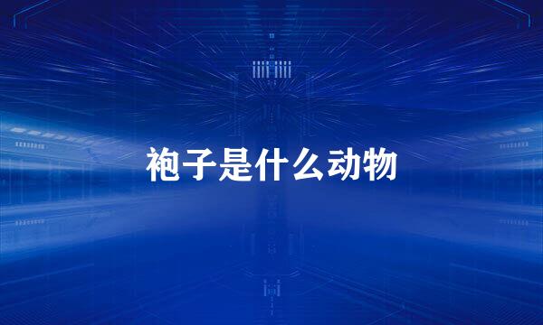 袍子是什么动物