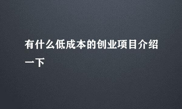 有什么低成本的创业项目介绍一下