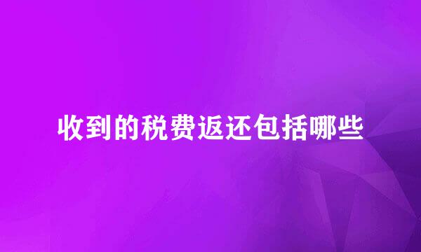 收到的税费返还包括哪些