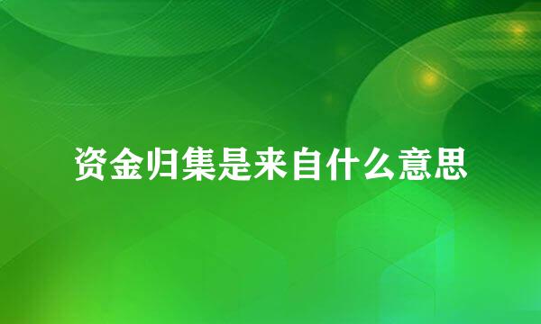 资金归集是来自什么意思