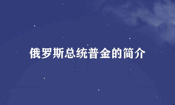 俄罗斯总统普金的简介