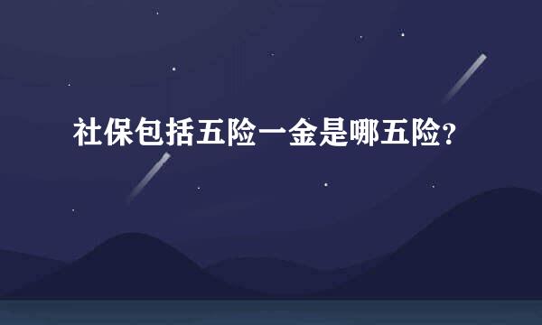 社保包括五险一金是哪五险？