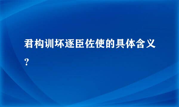 君构训坏逐臣佐使的具体含义？