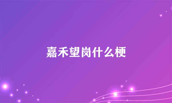 嘉禾望岗什么梗