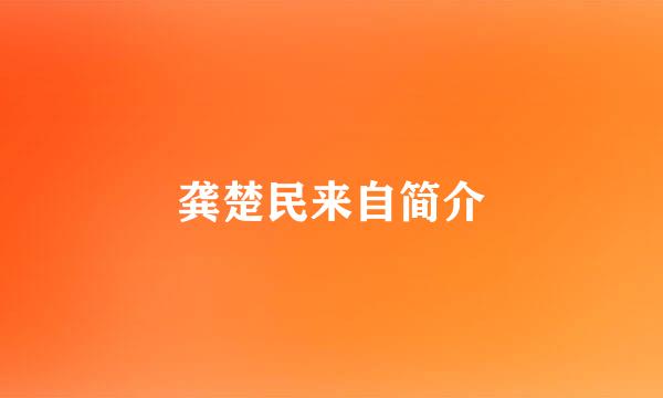 龚楚民来自简介