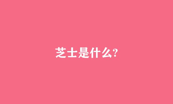 芝士是什么?