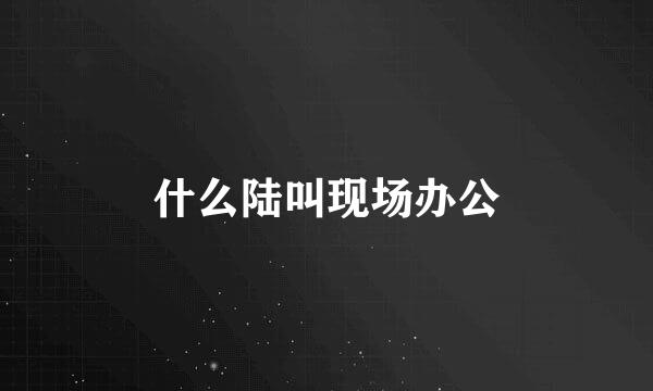 什么陆叫现场办公