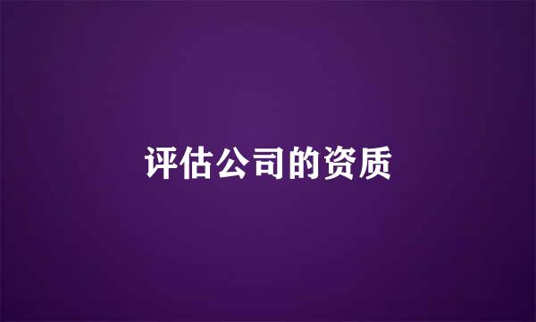 评估公司的资质