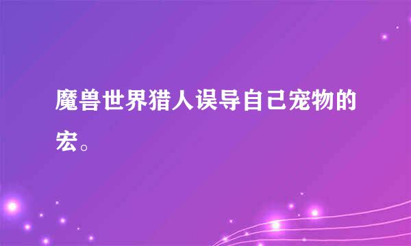 魔兽世界猎人误导自己宠物的宏。