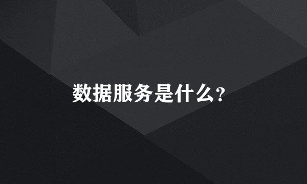 数据服务是什么？