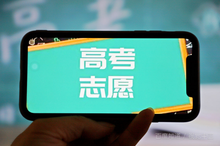 广东白云学院代码是多少？