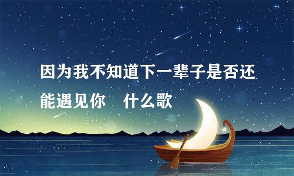 因为我不知道下一辈子是否还能遇见你 什么歌