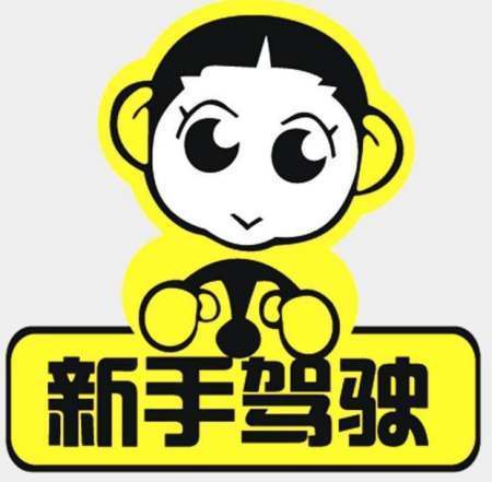 新手上路应该怎么练车,养成哪些正确的开车习惯?