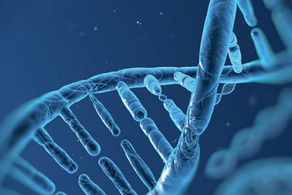 生物医学模式存在什么不足和缺陷