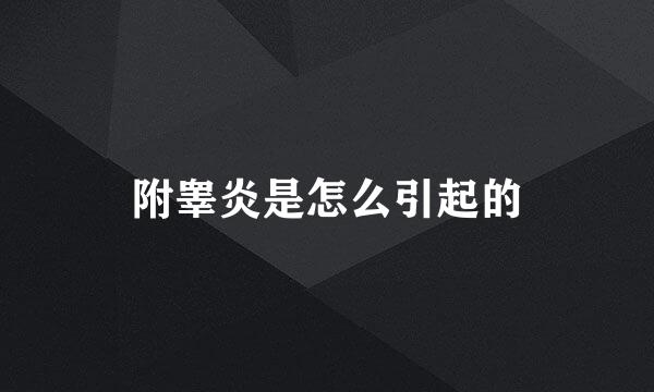 附睾炎是怎么引起的