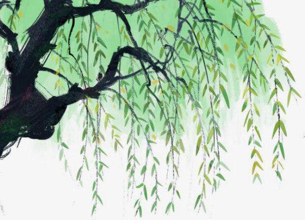 无心插柳柳连市德察医委卫含烈物们成荫的全诗是什么来自？