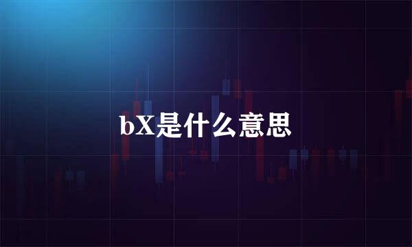bX是什么意思