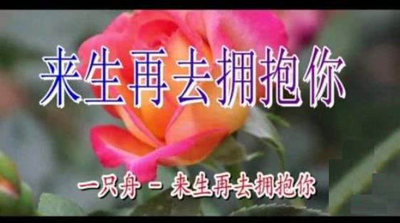 来生再去拥抱你来自歌词