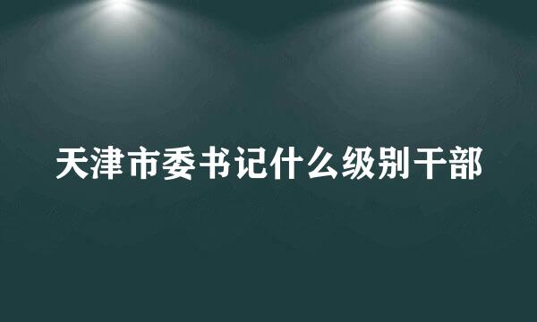 天津市委书记什么级别干部