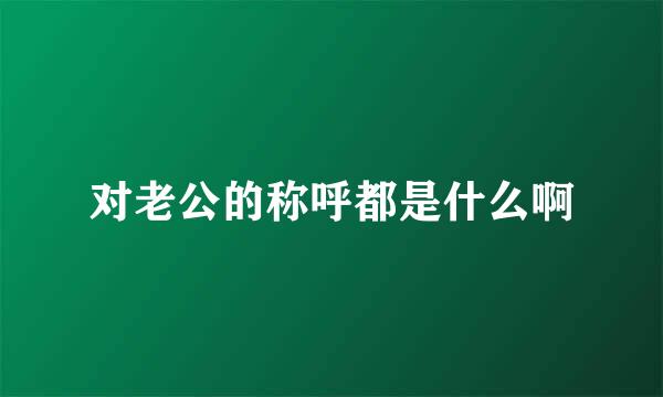 对老公的称呼都是什么啊