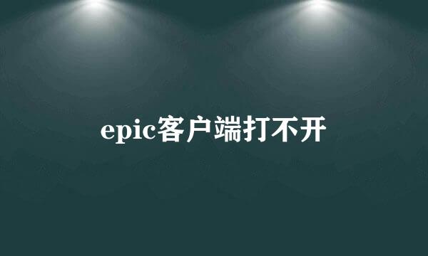 epic客户端打不开