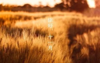 十一月的英文缩写是什么？