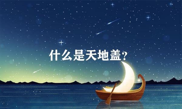 什么是天地盖？