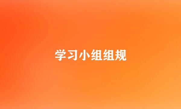 学习小组组规
