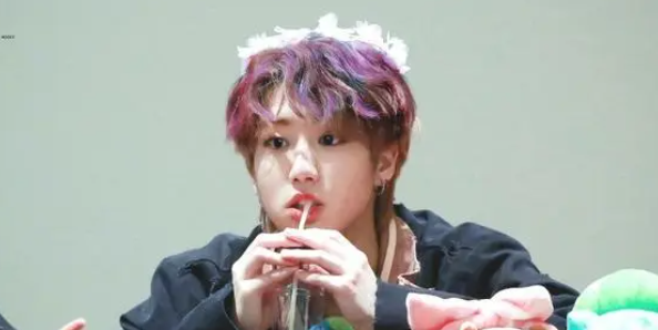 straykids成员介绍？