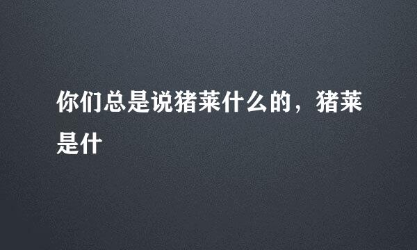 你们总是说猪莱什么的，猪莱是什