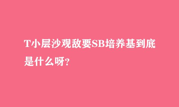 T小层沙观敌要SB培养基到底是什么呀？