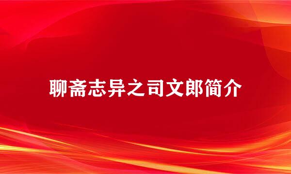 聊斋志异之司文郎简介