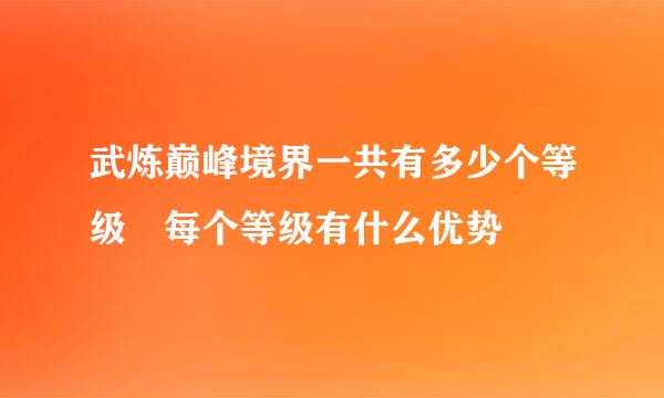 武炼巅峰境界一共有多少个等级 每个等级有什么优势