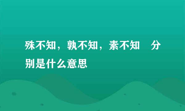 殊不知，孰不知，素不知 分别是什么意思