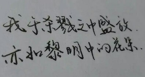 “我于杀戮之中盛放，亦如黎明中的花朵”是什么意思？
