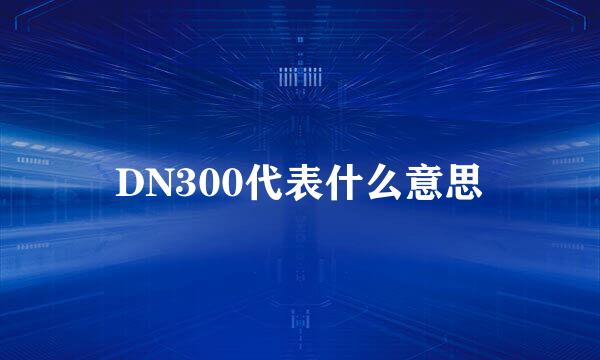 DN300代表什么意思