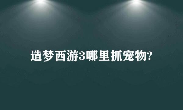 造梦西游3哪里抓宠物?