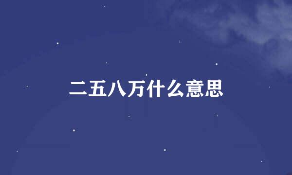 二五八万什么意思