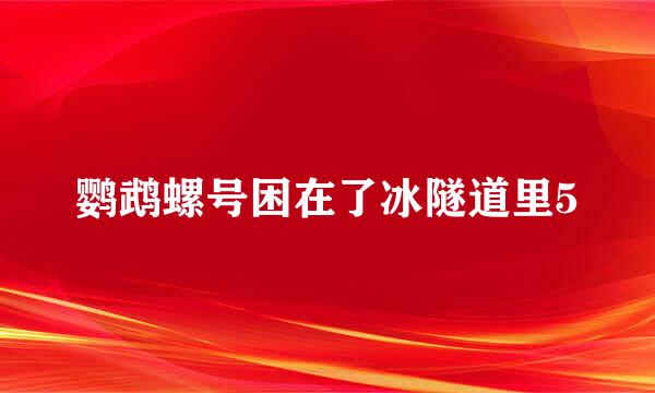鹦鹉螺号困在了冰隧道里5