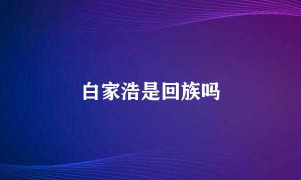 白家浩是回族吗