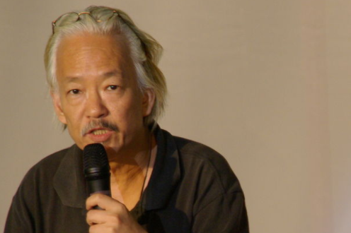 新书各茶纪逐联斗延排行榜前十名2023