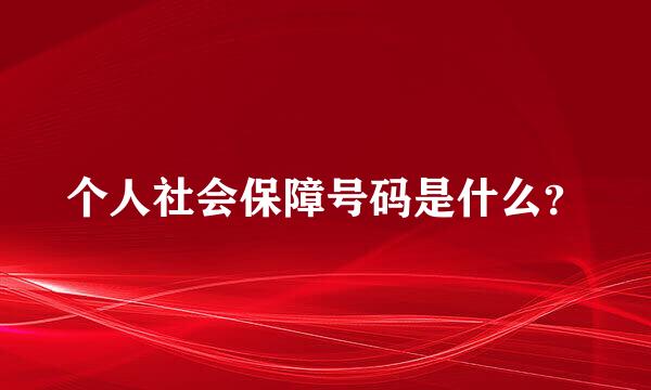 个人社会保障号码是什么？