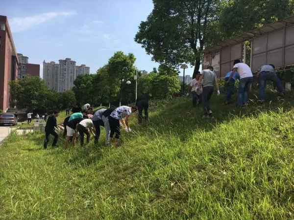 公益劳动有哪些活动?