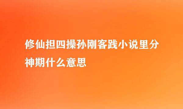 修仙担四操孙刚客践小说里分神期什么意思